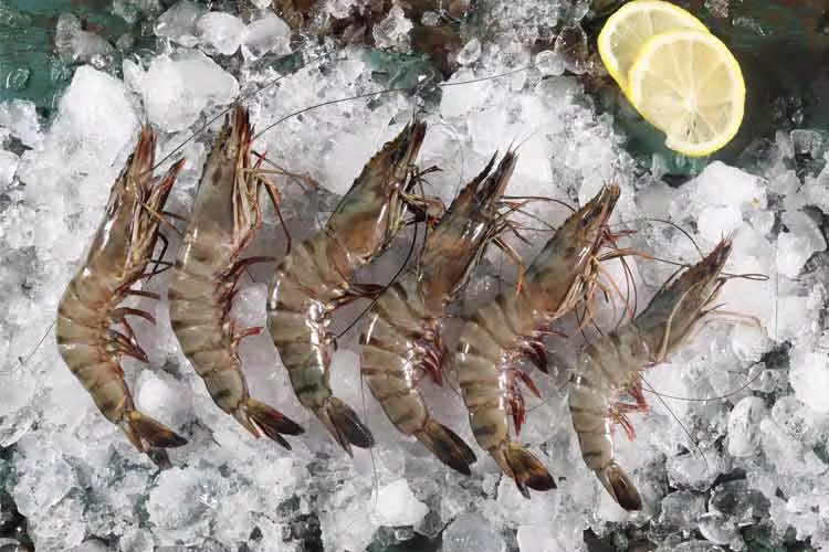 indonesiaseafood-indonesiaseafood-indonesiaseafood-varian_shrimp.avif