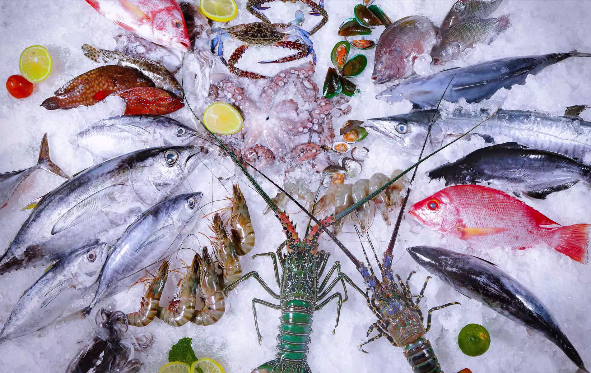 YOUR SEAFOOD • OUR PROMISE